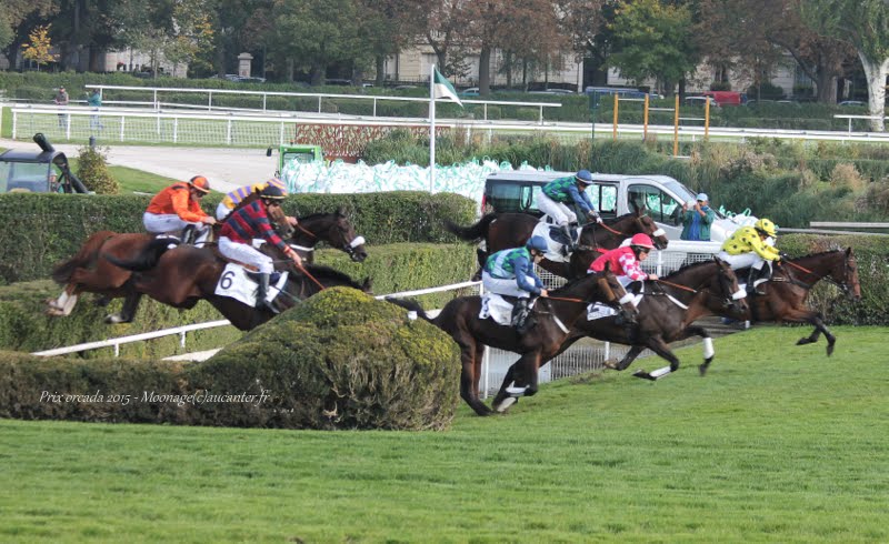 Photos Auteuil 11-10-2015 IMG_5366