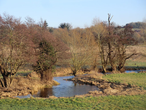 CIMG8402 River Darent near Eynsford