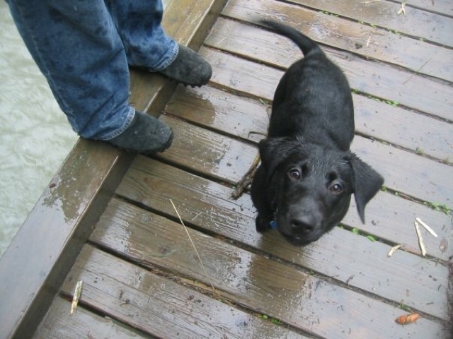 baby on bridge in Girdwood