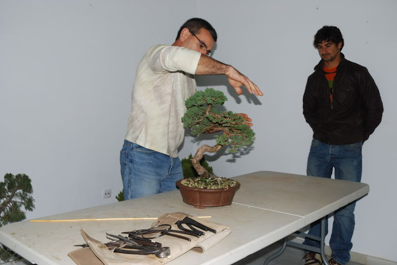 XI Exposición Invernal de bonsai de la A.S.B. Chokkan 109%252520XI%252520Exp.Inv.%252520ASBC%25252020111202%252520057