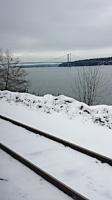 View from the Amtrak car as we escape Snowpacalypse PDX for Seattle