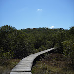 Kitty Creek boardwalk (345571)