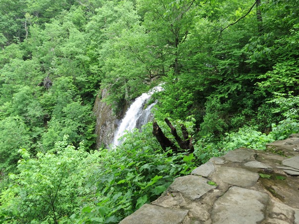 [IMG_431812]
