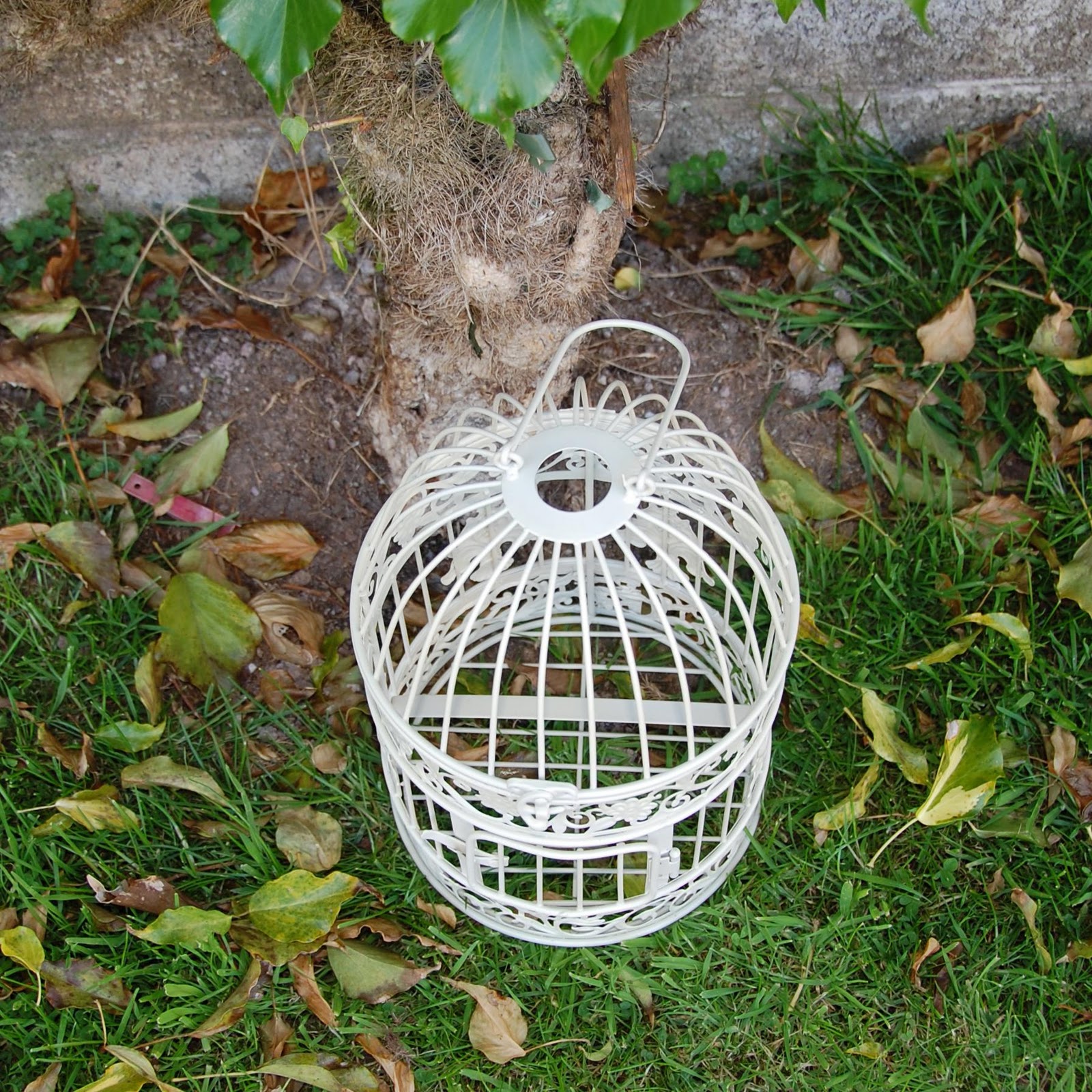 wedding card bird cages