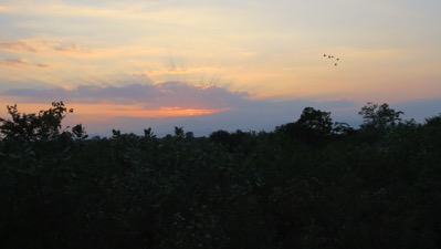 Sunset with birds