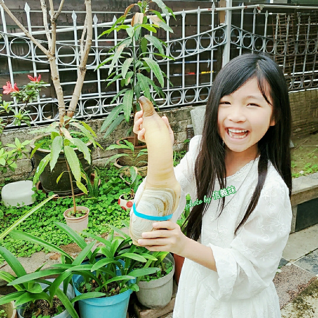 鮮 ~ 陳女東記 ~