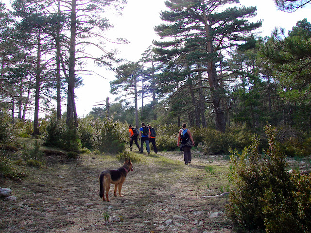 Senderismo - Coll de la Creu - Punta Boixet - Alt de la Coscollosa - Barranc de la Coscollosa