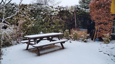 Photos of Chalet OosterOurthe Basic