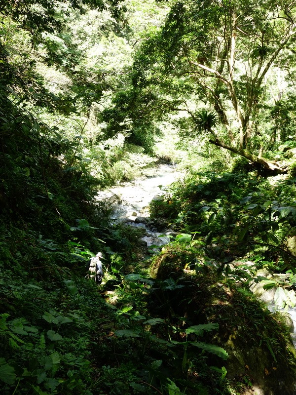 2013_0924-0928 海岸山脈-11_047