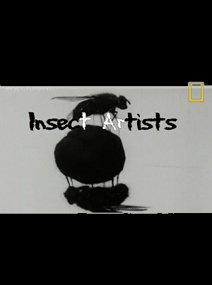 DOWNLOAD – NATIONAL GEOGRAPHIC – INSECTOMANIA – INSETOS CIENTISTAS – SDTV DOWNLOAD – NATIONAL GEOGRAPHIC – INSECTOMANIA – INSETOS CIENTISTAS – SDTV
