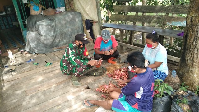 Babinsa Bendang Raya Komsos Bersama Petani Lengkuas