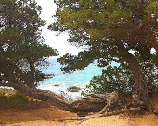 Spiaggia di Porto Sa Ruxi