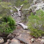 Track over Bittangabee Creek (108019)