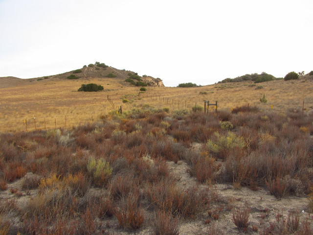 path up the ridge