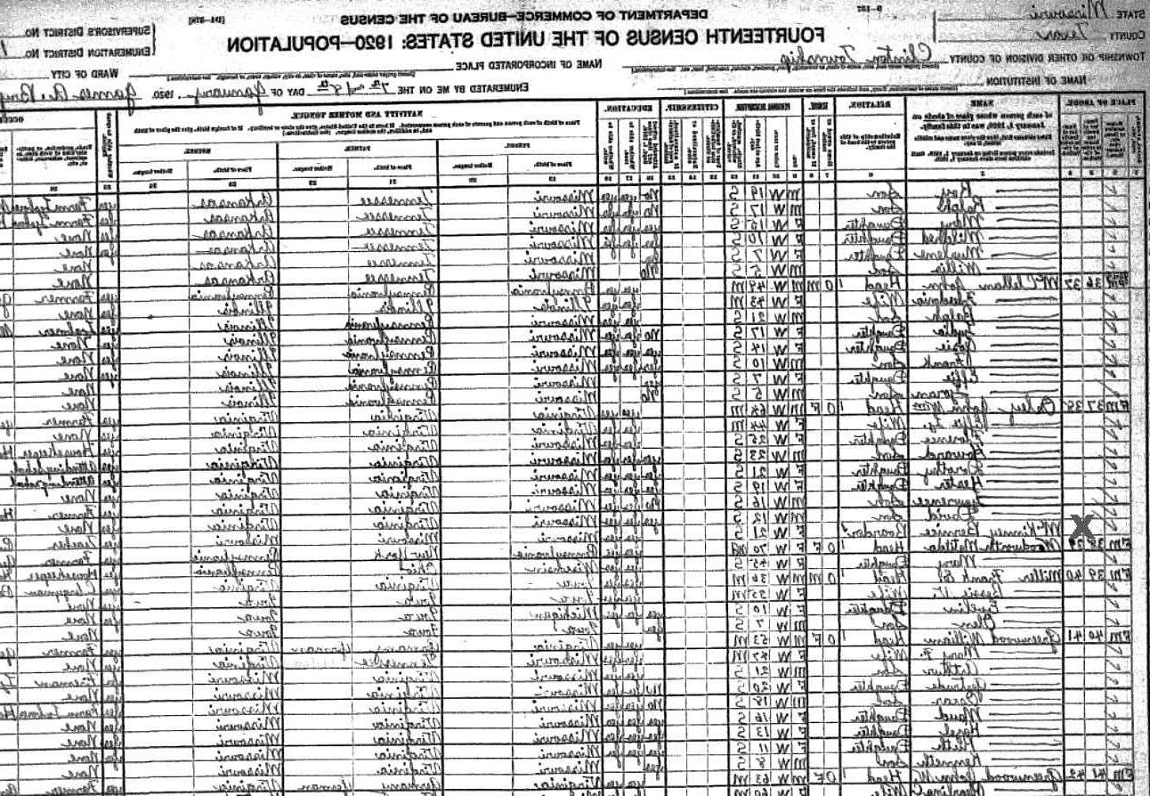 Notes for BERNICE MCKINNEY: 1920 Census MO Texas County