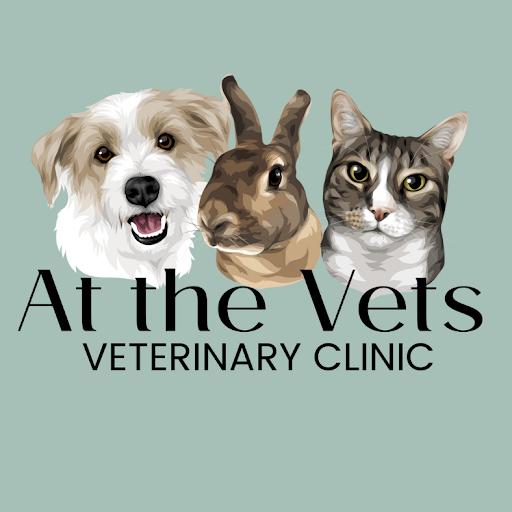 At The Vets logo