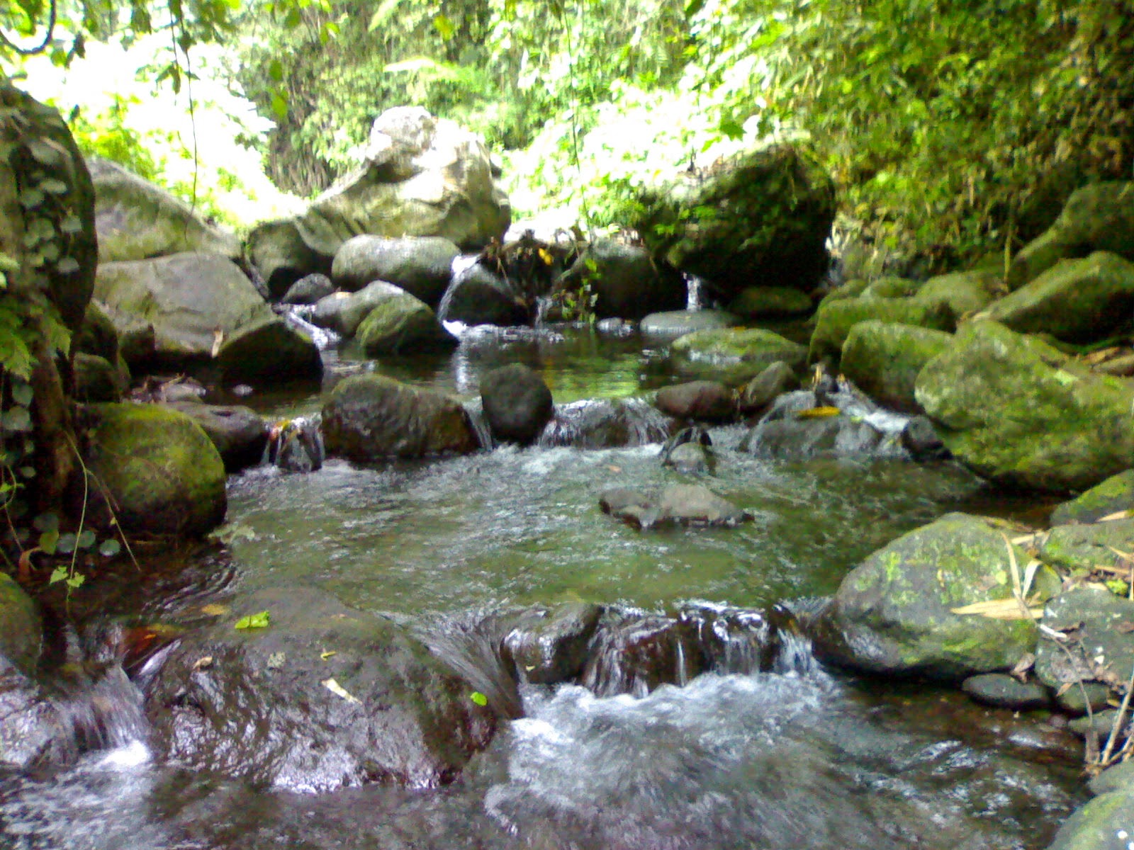 wisata merapi