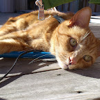 Sven enjoying spring outdoor first time this season! DSC_1930.JPG