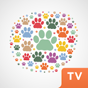 Lifestyle for pets TV  Icon