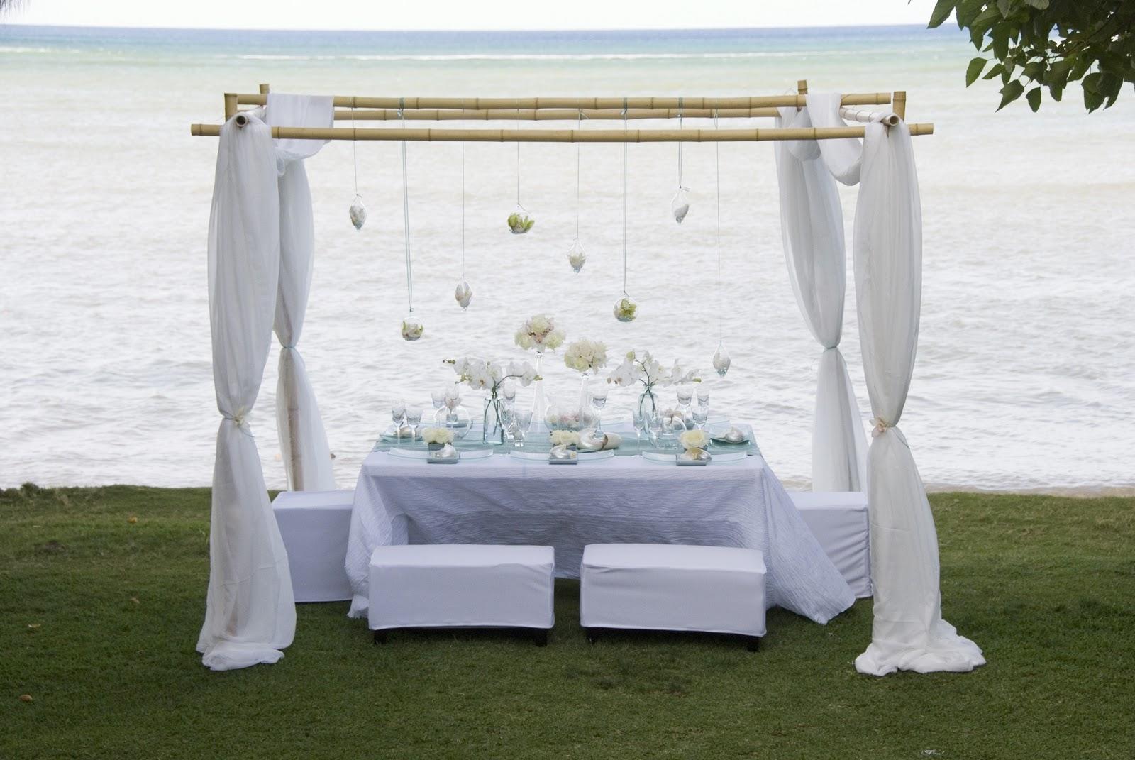 Biggest DIY-Wedding Canopy