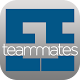 Excelsior Staffing Teammates Download on Windows