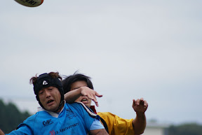 Picasa