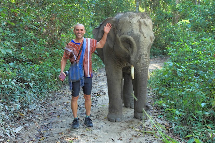 TAILANDIA EN DICIEMBRE - Blogs of Thailand - 7 DICIEMBRE. ELEPHANT NATURE PARK RETIREMENT (10)