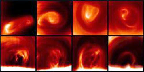 Venus Vortices Go For Chaotic Multi Storey Strolls Around The Poles