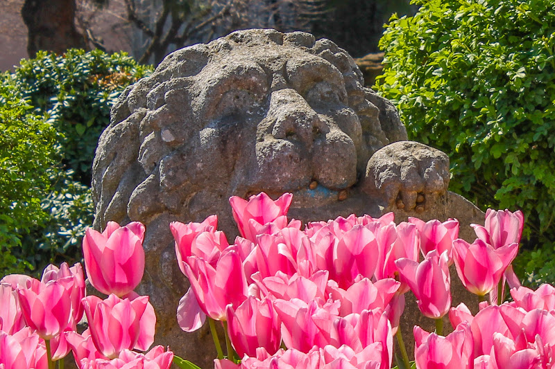 Выступаем на расслабоне… Круиз на Norwegian Jade (27 марта – 6 апреля 2013)