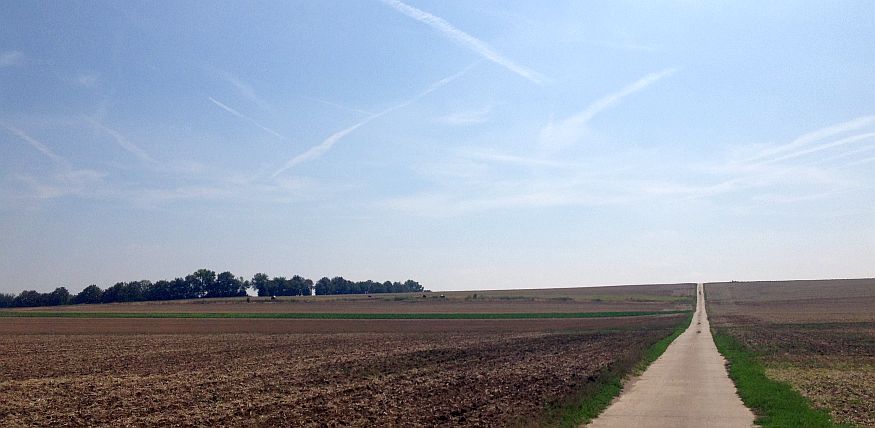 Rheinhessen: auf dem Selztal-Radweg zwischen Udenheim und Undenheim