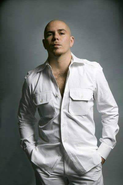 Pitbull Awesome Dp Profile Pictures