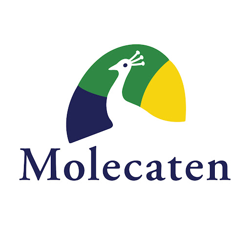 Molecaten Park Kruininger Gors logo