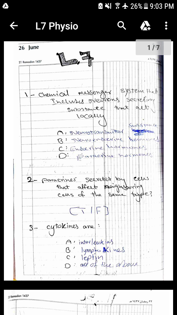 L7 Endocrine System