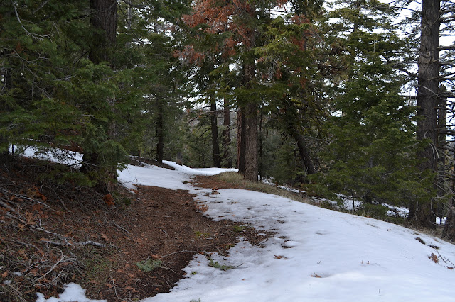 jeep trail