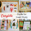 Complete Guide to Insect Study for Grade-Schoolers