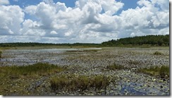 Bonnet Pond