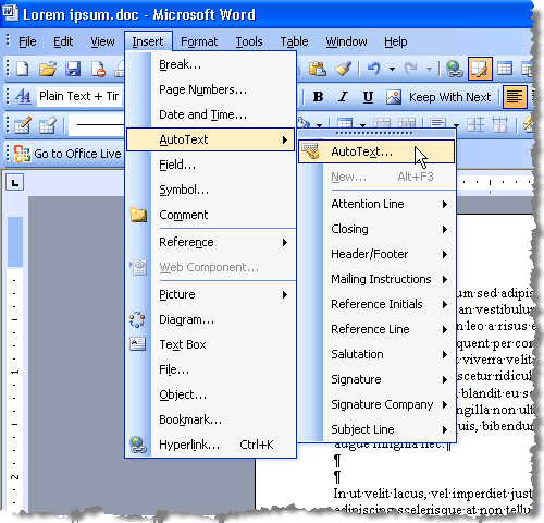 Apertura di glossario in Word 2003