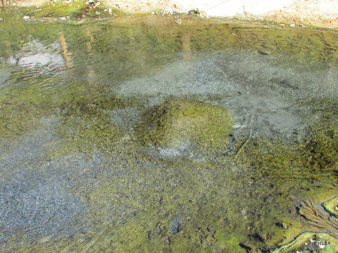 Malika Hot Spring