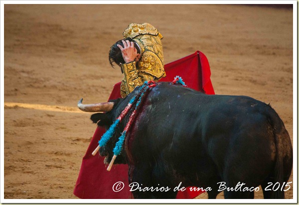 Toros Feria 2015-0012