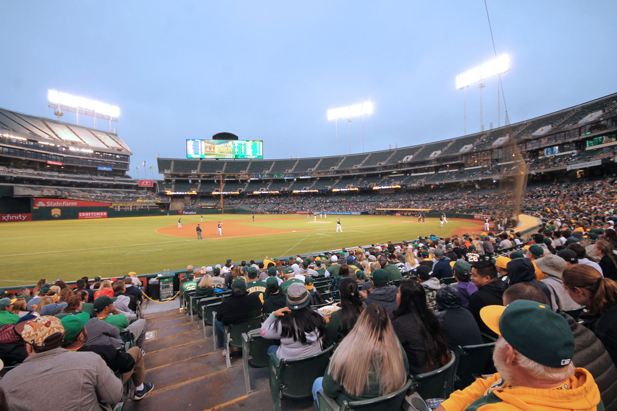 Oakland Athletics Bath & Kitchen in Oakland Athletics Team Shop 