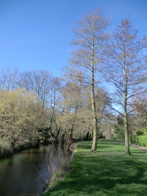 CIMG9108 River Darent in Shoreham