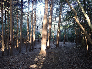 分岐に到着（左へ）