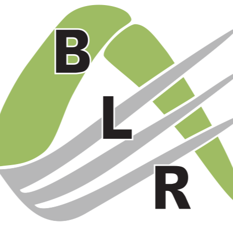 BLR-Service logo