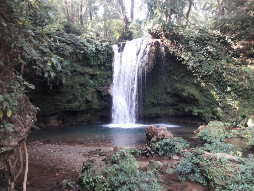 Jim Corbett National Park Uttarakhand India, Dhela, Near Jim Corbett National Park, Ramnagar, Uttarakhand 244715, India, National_Reserve, state MP