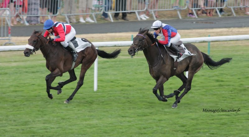 Photos Maisons-Laffitte 5-07-2015 IMG_2209