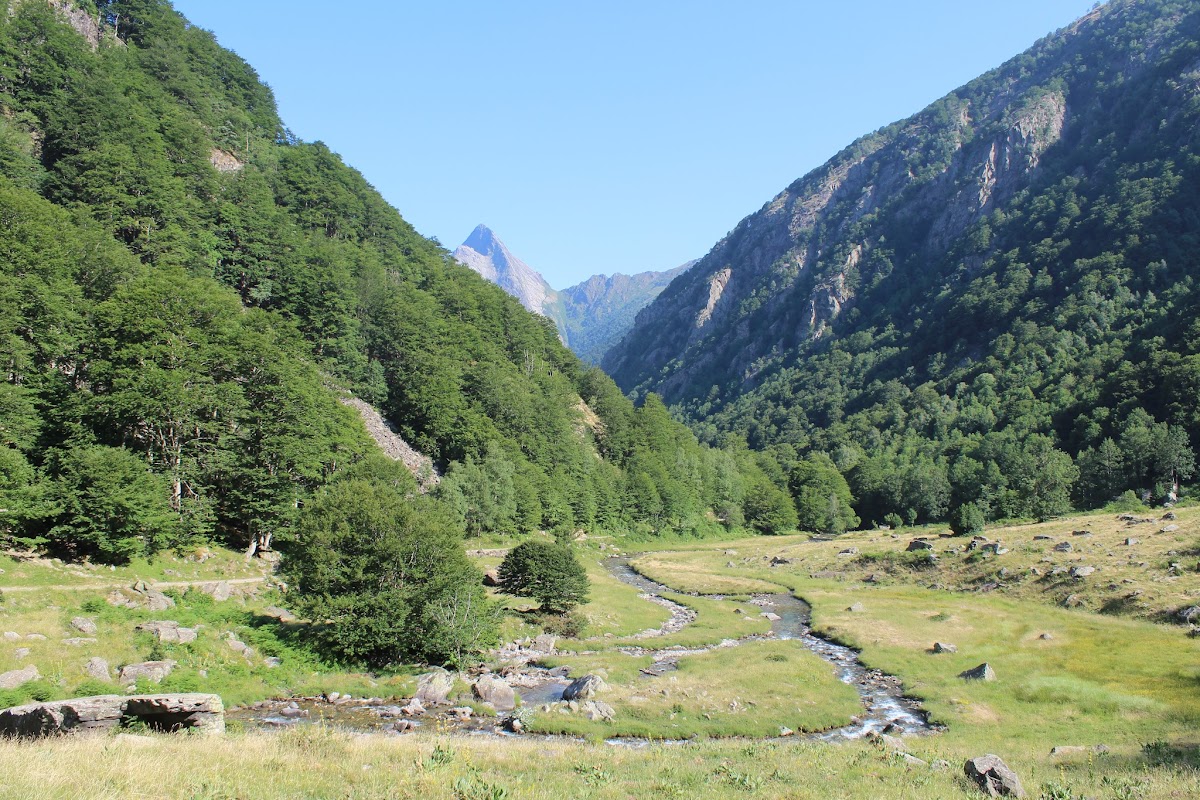 L'étang de Batouxiade dans la vallée d'Orlu IMG_3992