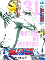 Bleach_vol_31.jpg