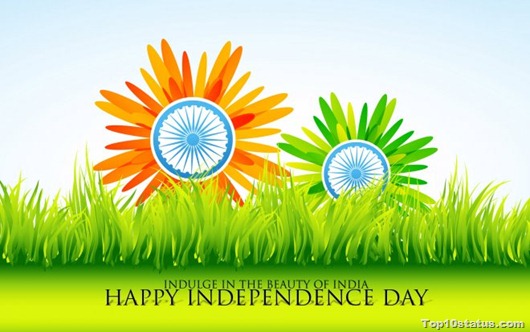 Independence day whatsapp dp (26)