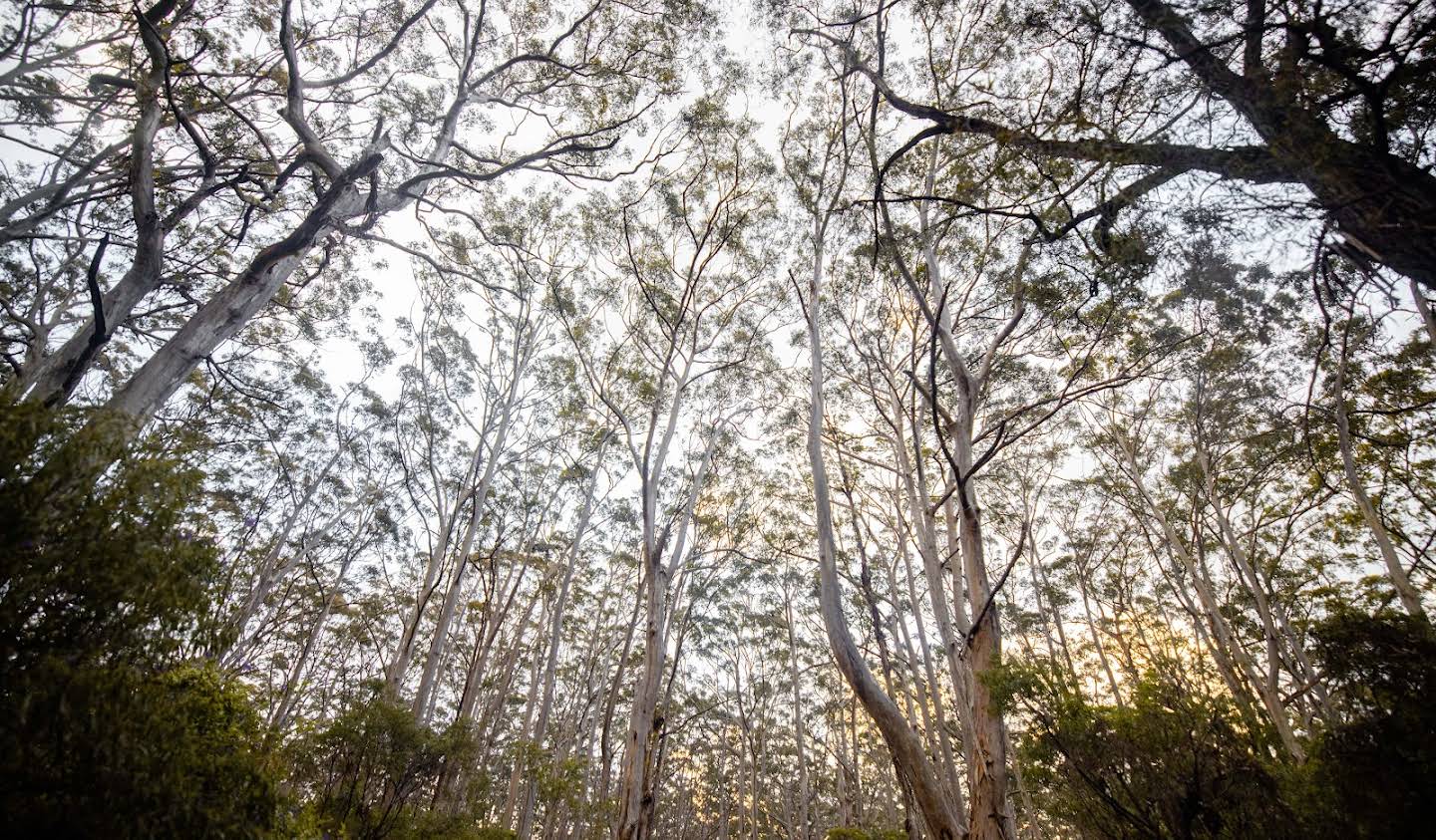 Land Margaret River