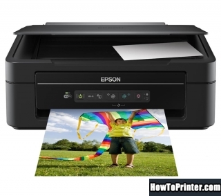 Reset Epson XP-205 printer with Epson reset software